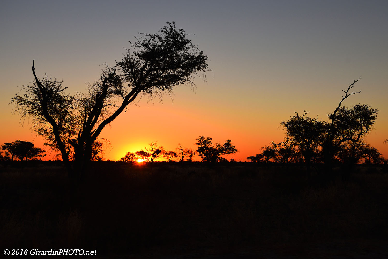 Premier coucher de soleil au Kalahari