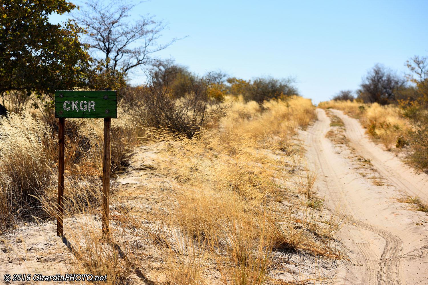 Frontière sud du Central Kalahari Game Reserve (CKGR)