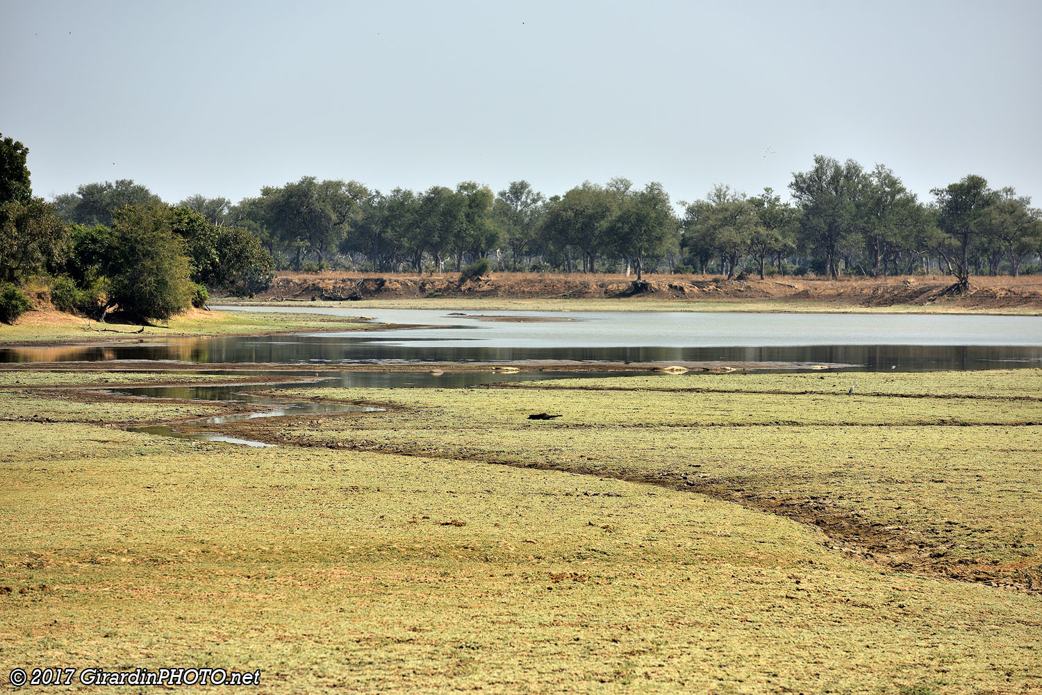 Mfuwe Lagoon