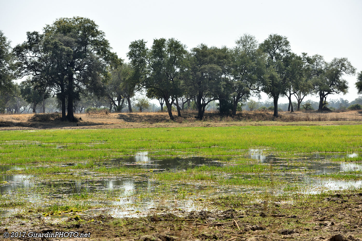 Luangwa Wafwa