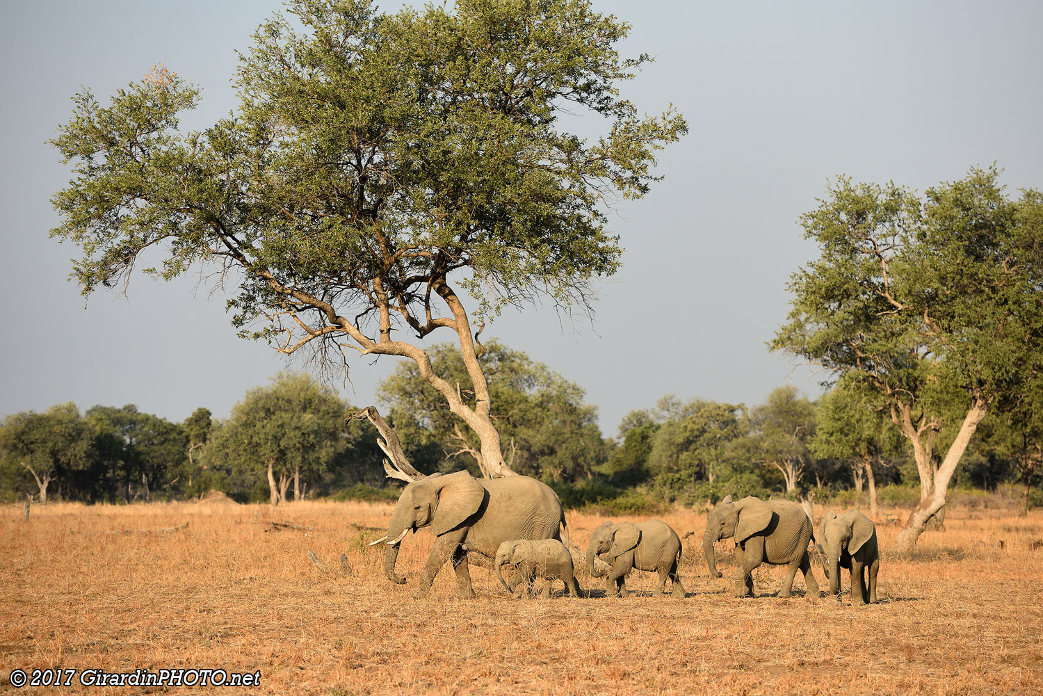 Plaine de Nsefu