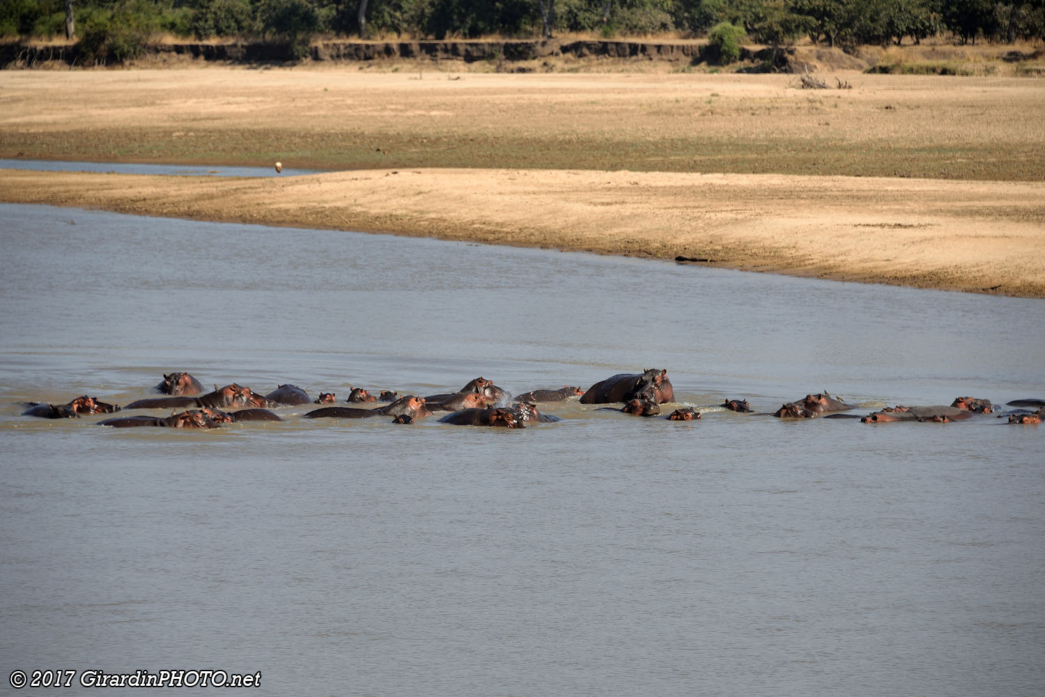 Retour par la Luangwa River