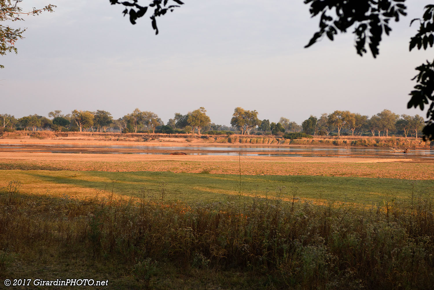 Luangwa River au lever du soleil