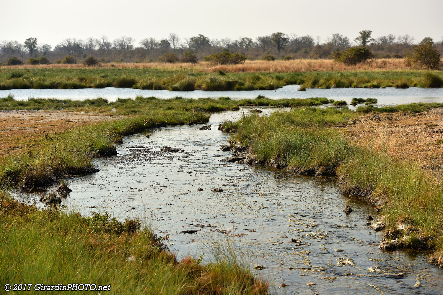 Chichele River