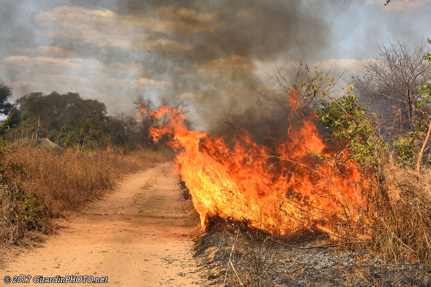 Feu de brousse