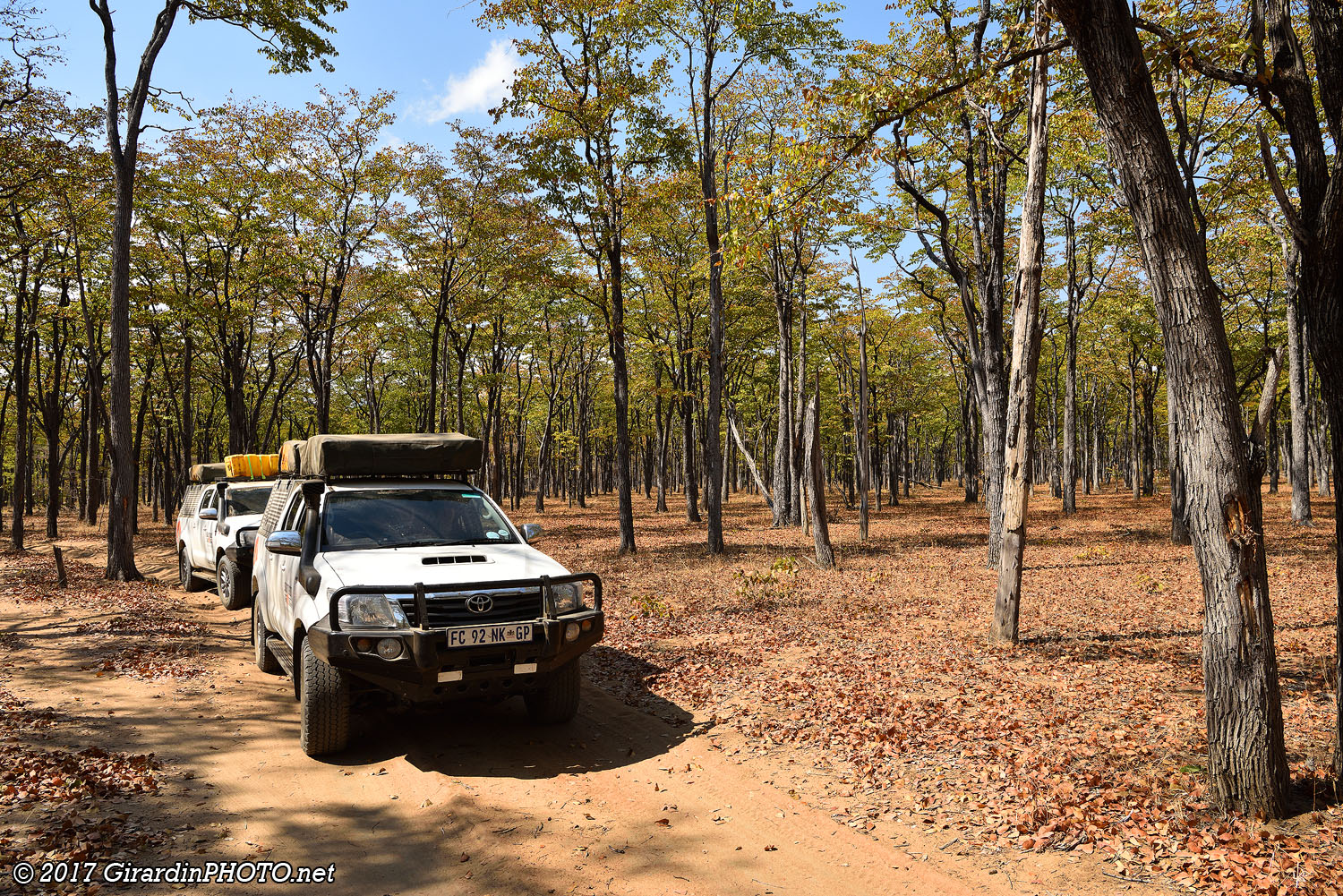 Piste en direction du North Luangwa Pontoon