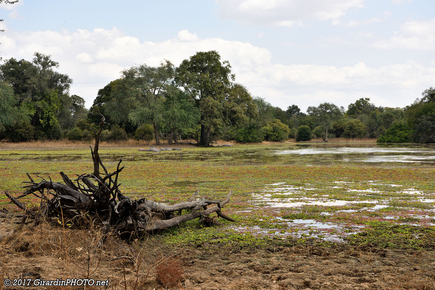 Delia Lagoon