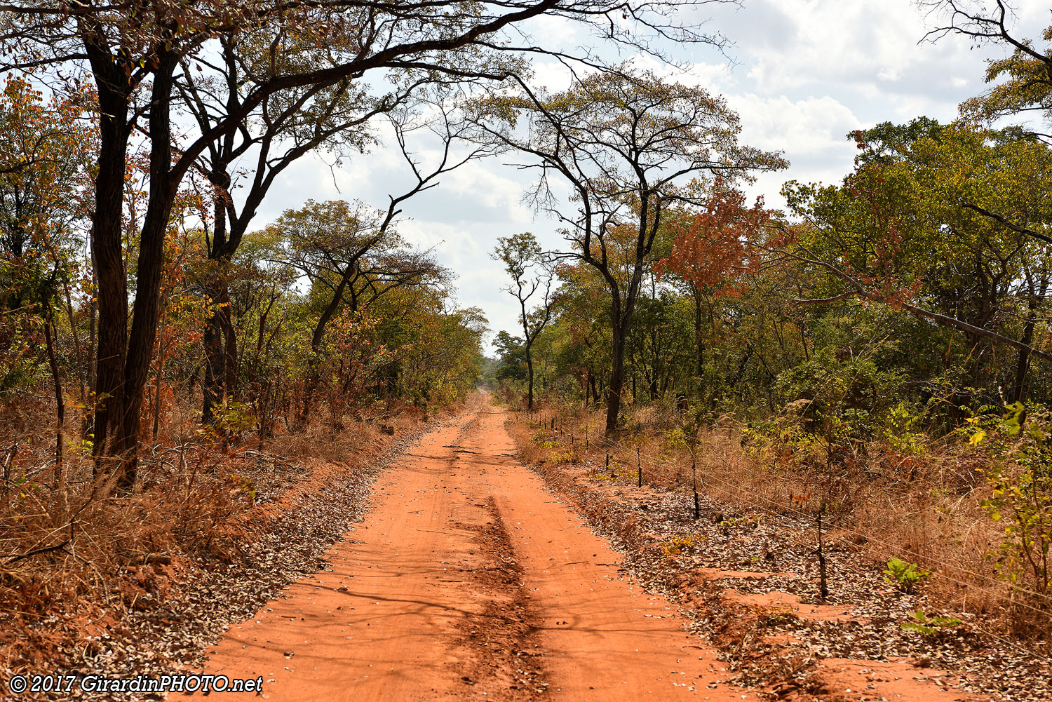 Piste qui traverse le North Luangwa National Park