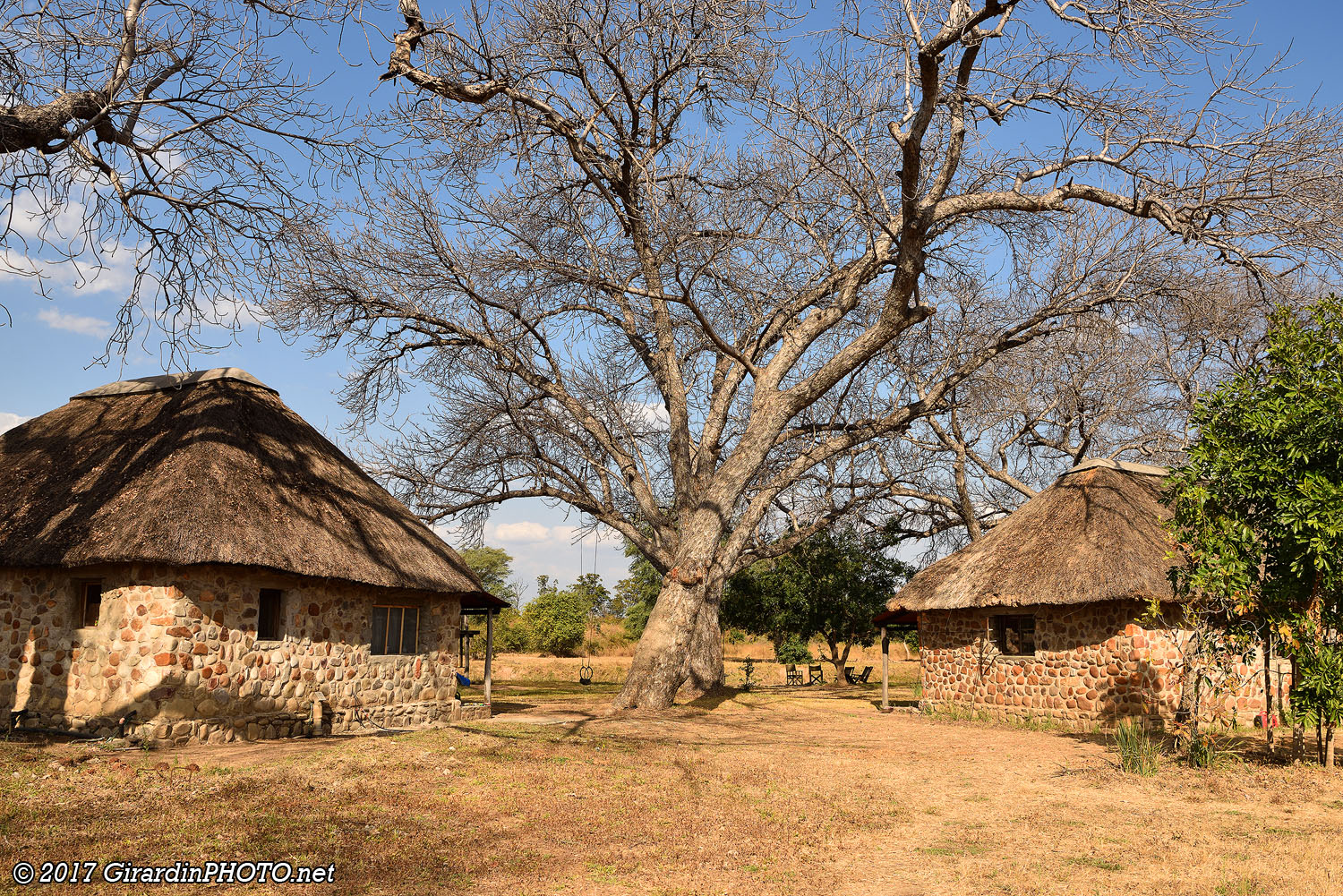 Marula Puku