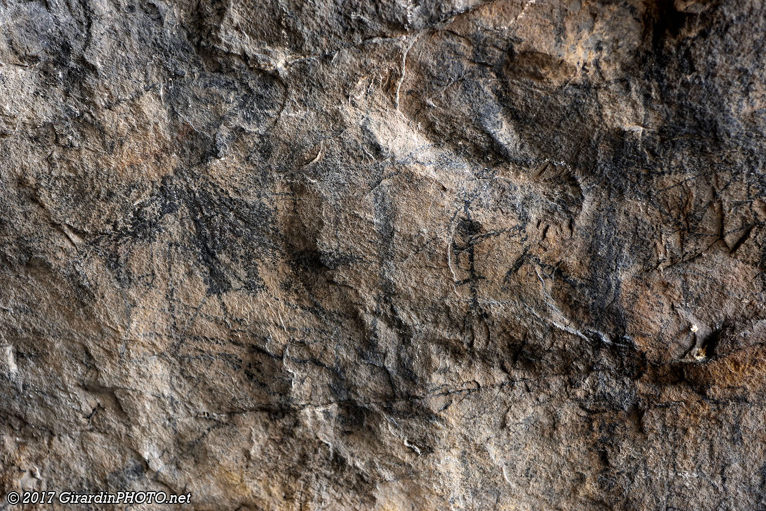 Panneaux explicatifs des peintures de la première grotte