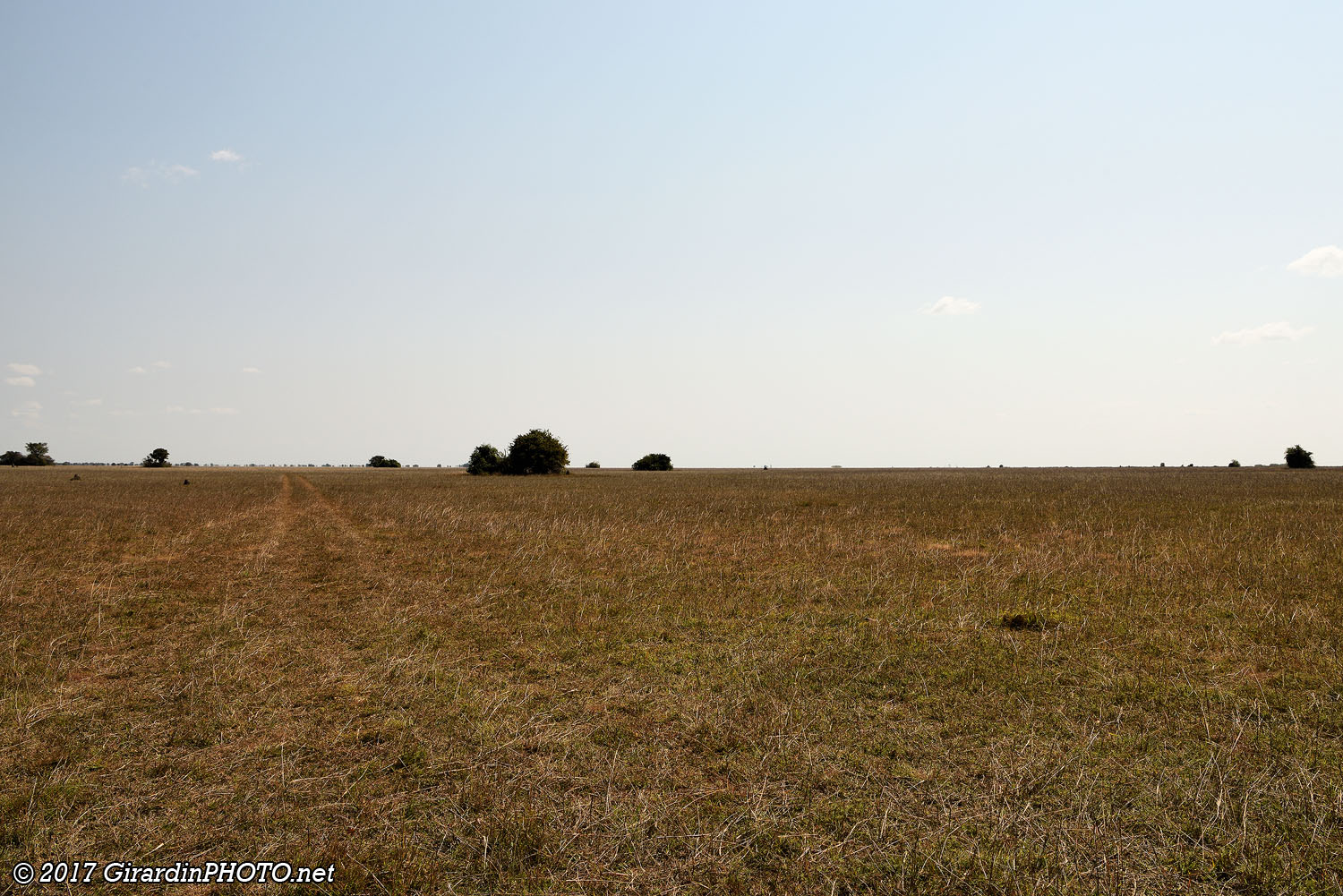 Piste au milieu de la plaine de Bangweulu