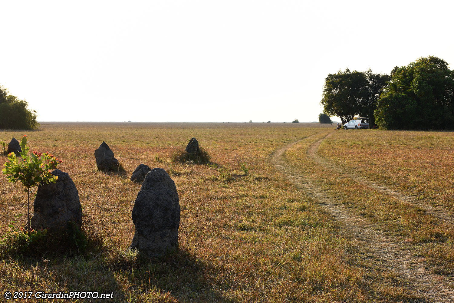 Plaine de Bangweulu avec l'emplacement N°1