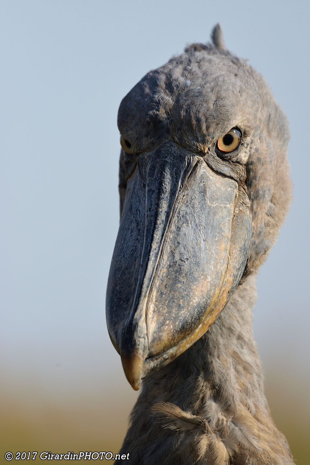 Regard envoûtant